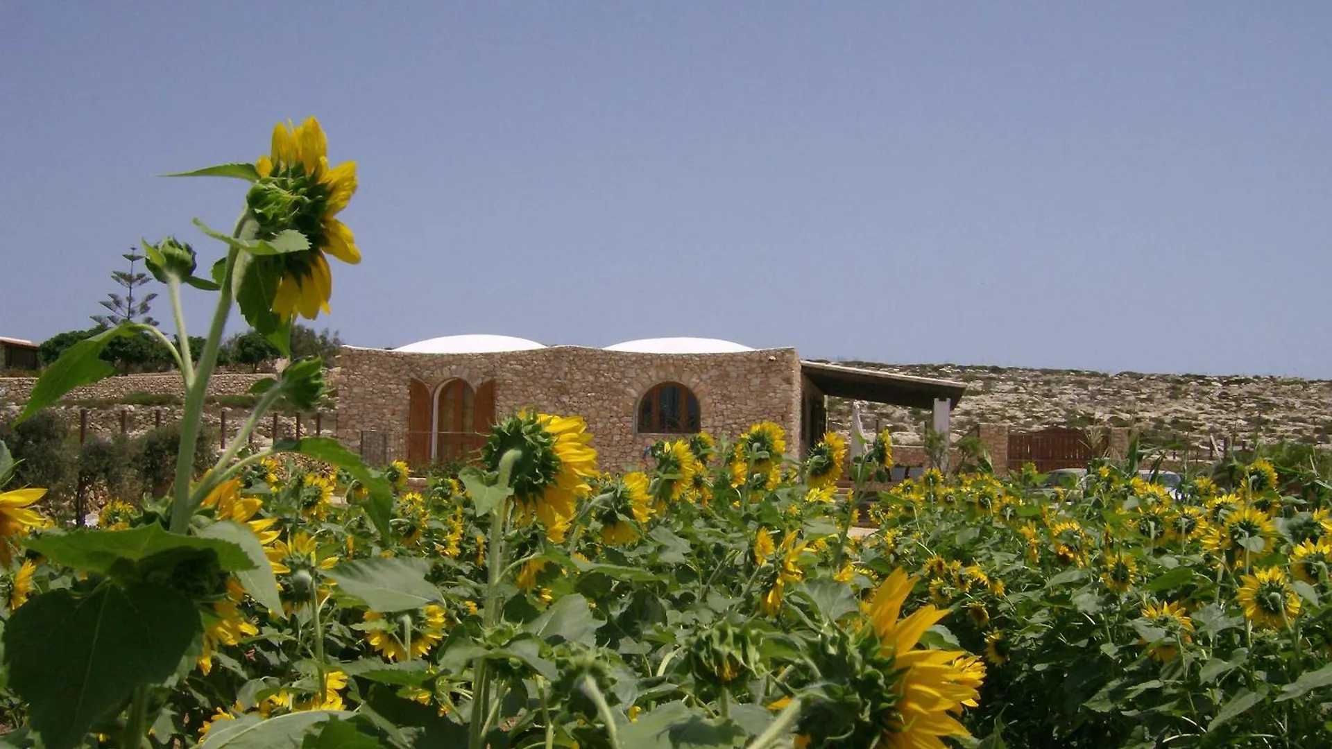 Holiday home Dammusi Lampedusazzurra